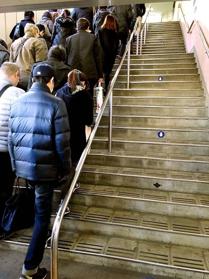 13. Les volées d'escaliers sont séparées en deux voies, en fonction du sens de marche : et tous respectent la signalisation !