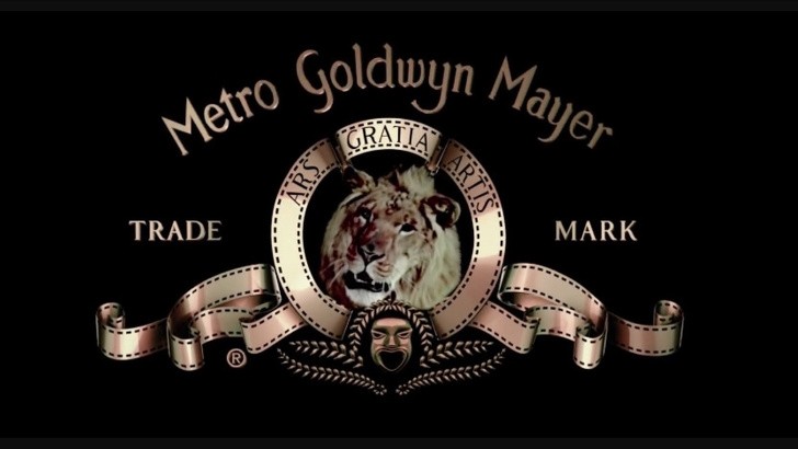 Die Enttäuschung, wenn nach dem Logo von Metro Goldwyn Mayer kein Cartoon von Tom und Jerry gestartet wurde....