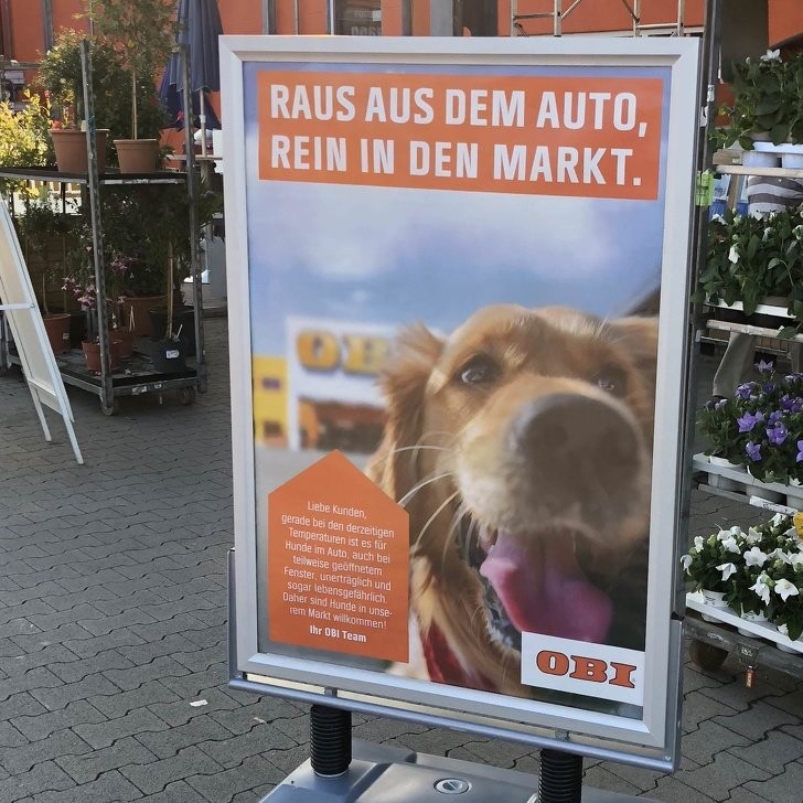 5. Ce magasin en Allemagne permet aux maîtres d'amener leur chien lorsqu'il fait trop chaud dehors pour le laisser à l'extérieur.
