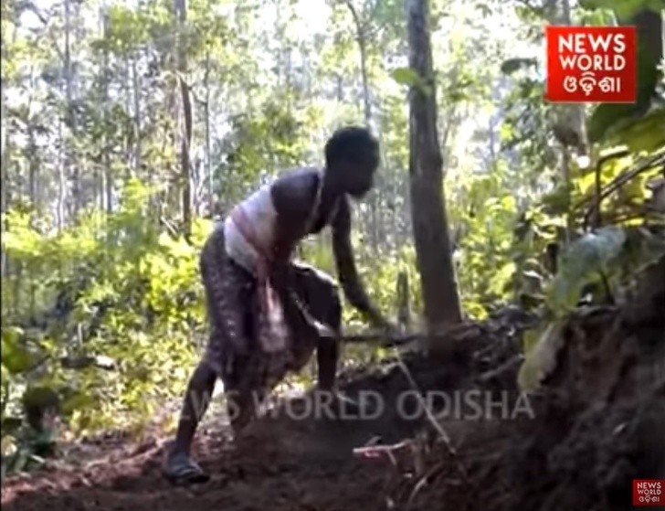 News World Odisha/YouTube