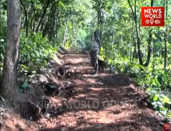 News World Odisha/YouTube