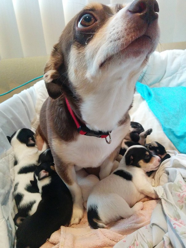 16. También la parte humana de la familia es extremadamente feliz para los recién llegados!