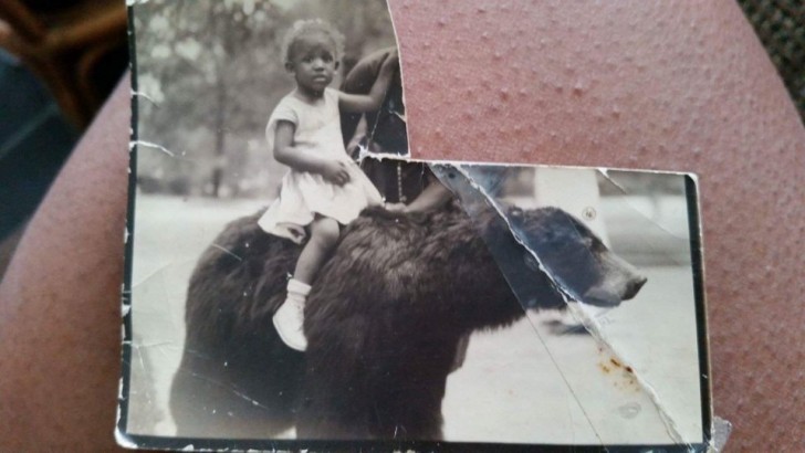 "Meine Schwiegermutter reitet einen Bären im Alter von 2 Jahren...."