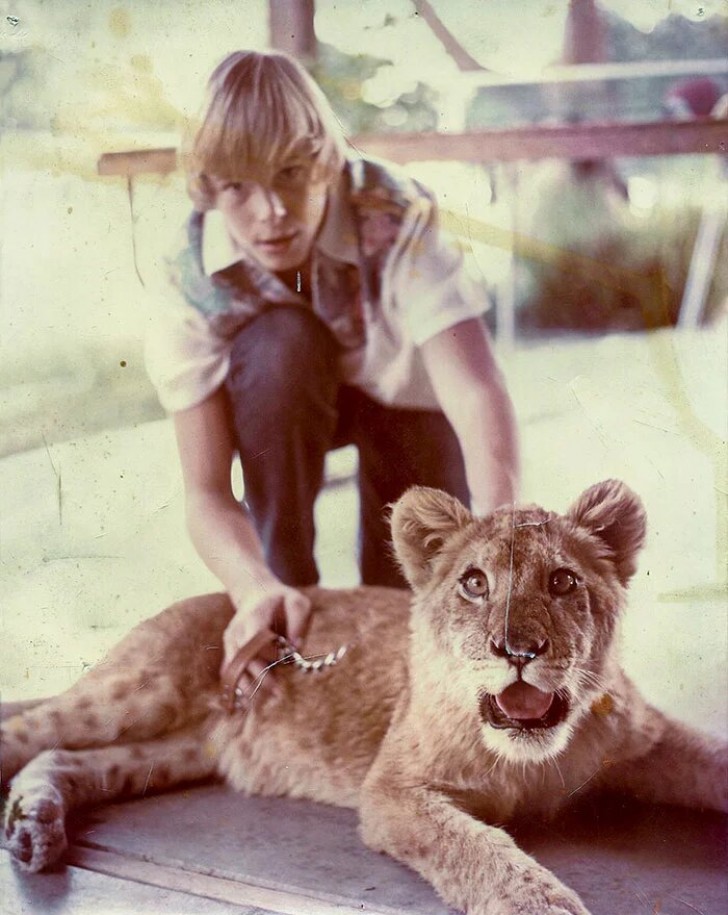 " Kalifornien, 70er Jahre. Mein Vater mit einem "zahmen" Löwen!"