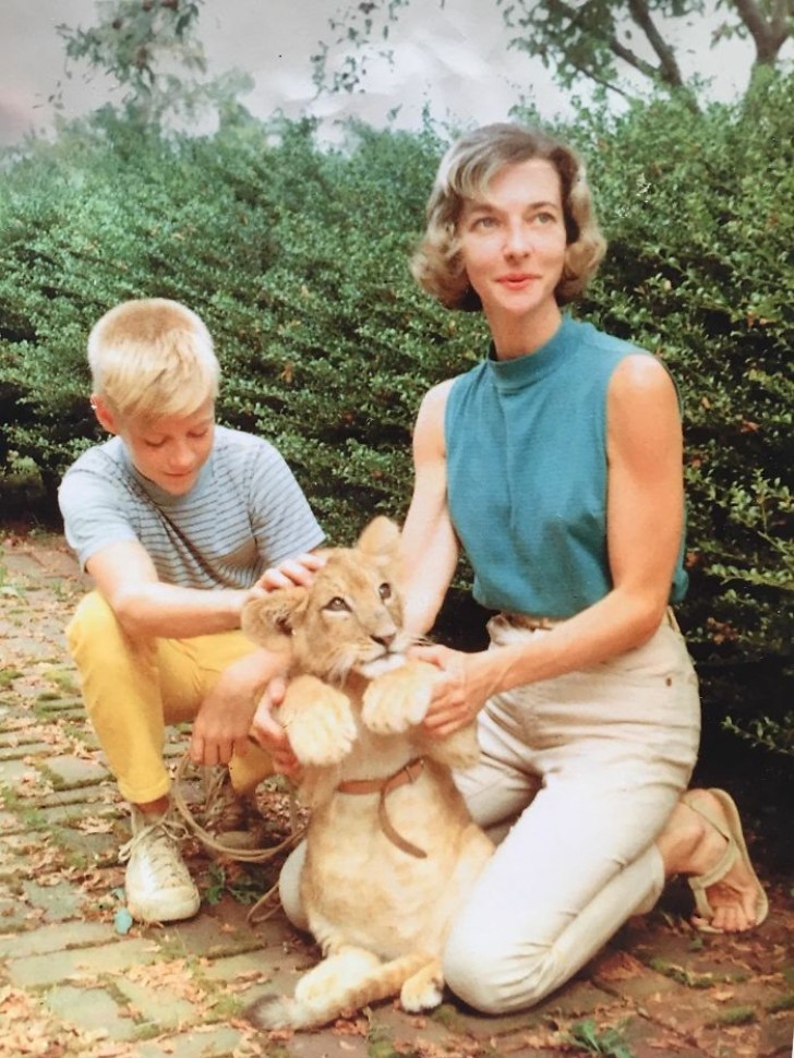 "Una vecchia foto di mia nonna veterinaria, mio padre e il leone domestico che hanno cresciuto negli anni '50"