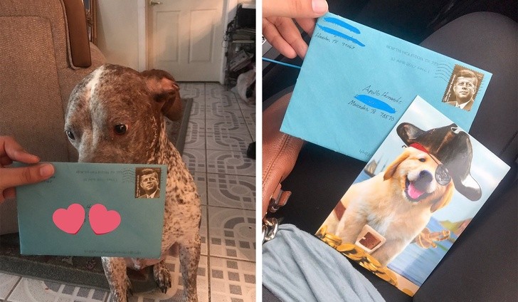 Anche se si sono lasciati da due anni, il fidanzato continua a mandare un biglietto d'auguri al compleanno del cane...