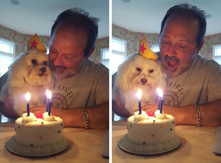 Questo cagnolino è stato trovato e non si sa quando è il suo compleanno: perché non festeggiarlo col padrone di casa?
