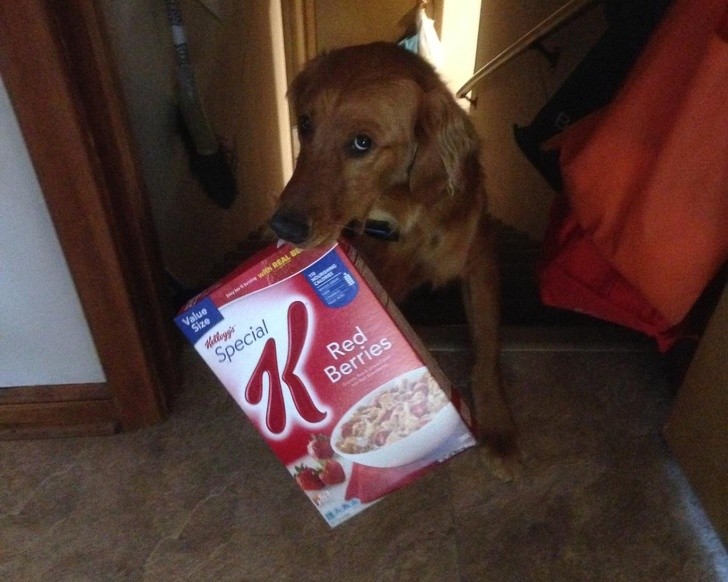 Quer un pouco de cereal?