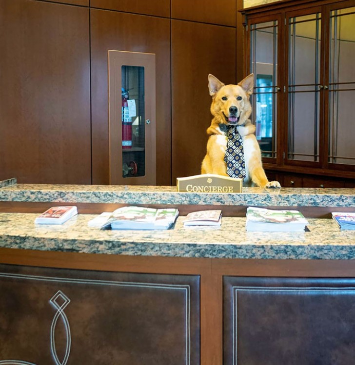 "Buongiorno, benvenuto in hotel! Come posso aiutarla?"