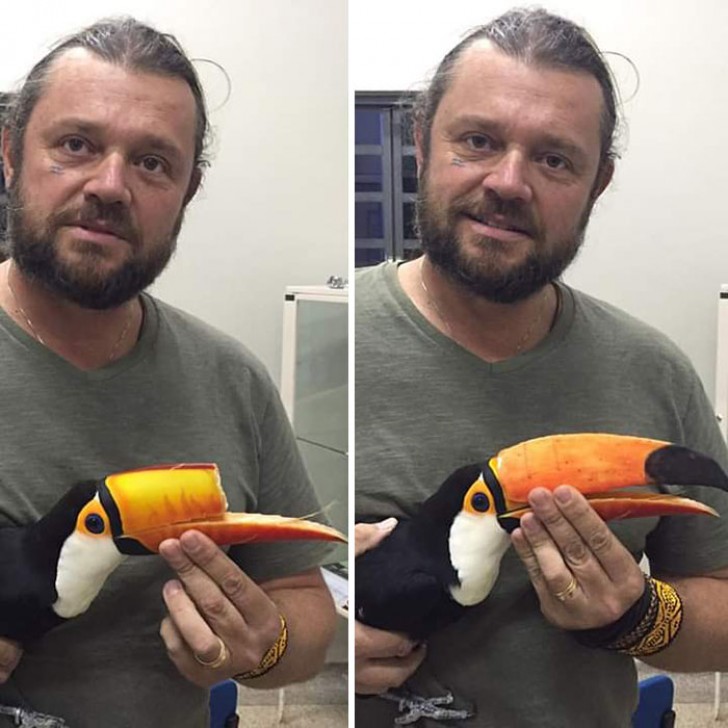 4. Ce toucan a retrouvé son bec grâce à une imprimante 3D !