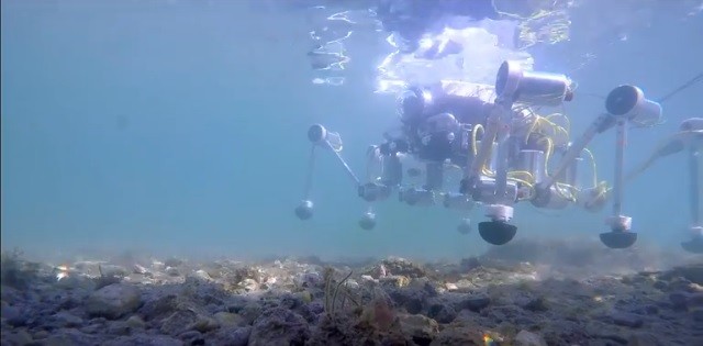 Un robot-granchio contro le microplastiche: al via il progetto tutto italiano per ripulire i fondali - 1