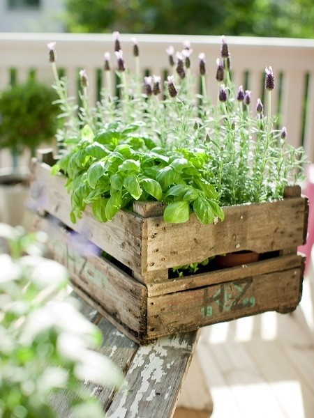 10. Un po’ contenitore un po’ espositore, per mettere dentro vasi di piante e fiori diversi, spostarlo facilmente per metterlo al sole godendosi il profumo e la bellezza della natura.