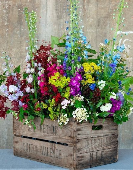 13. Da notare il contrasto cromatico tra la vivacità dei fiori e l’aspetto anticato della cassetta di legno. Le idee migliori sono le più semplici.