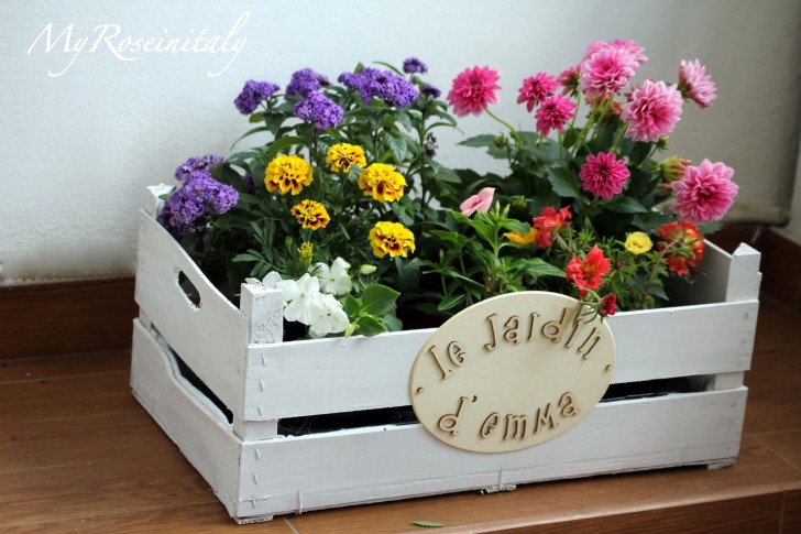 15. Questa immagine non sfigurerebbe di certo nella vetrina del più popolare negozio di fiori olandese!