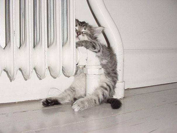 Ahhh, che bel caldo rilassante...