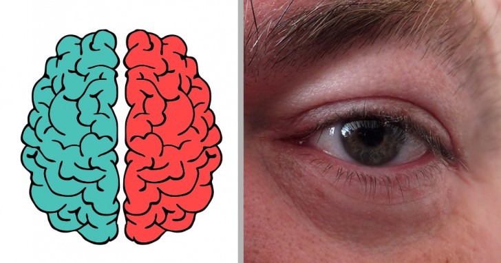 ¿Cual es el hemisferio del cerebro que usas más? Descúbrelo con este test! - 1