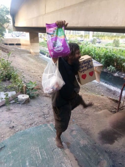 Le donazioni hanno permesso a Loong Dum di nutrire sempre più gatti e con cibo migliore... e questo ha fatto la sua gioia!