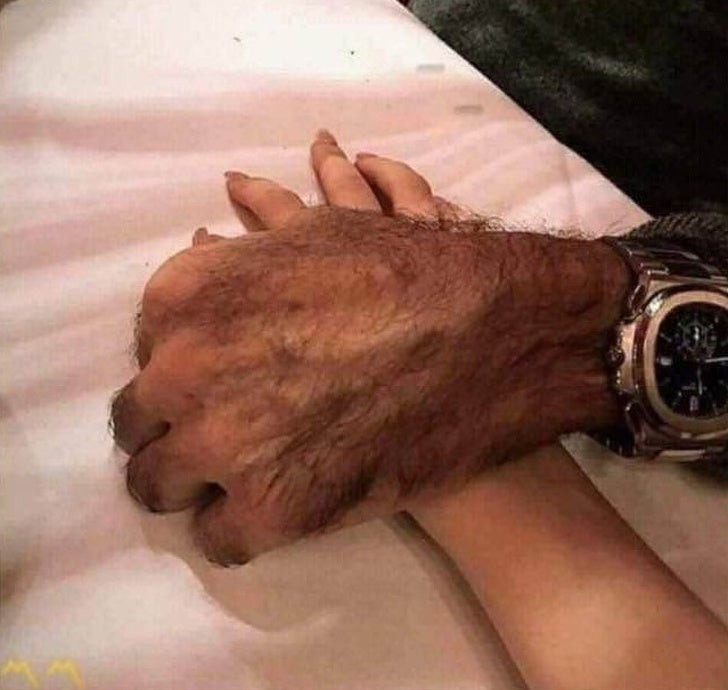 Die Hand eines Werwolfs!
