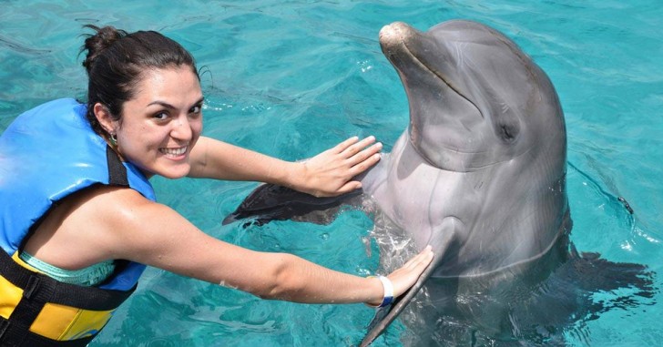 Dieser Verein sucht Freiwillige, die nach Kroatien reisen und Delfine retten helfen - 1