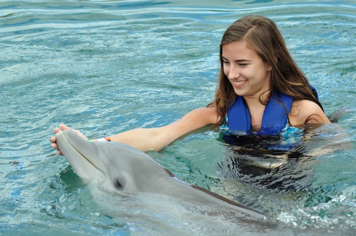 Questa associazione cerca volontari per viaggiare in Croazia e aiutare a salvare i delfini - 3