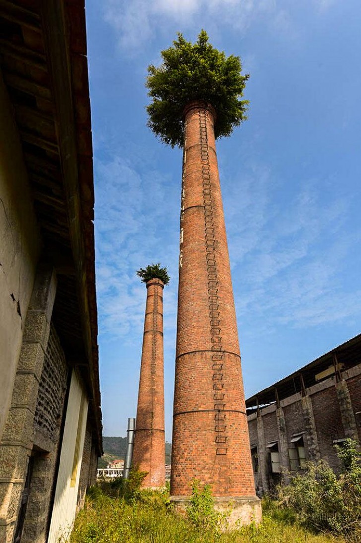 2. Des buissons et des arbustes ont colonisé ces cheminées, symbole de la pollution de l'air.