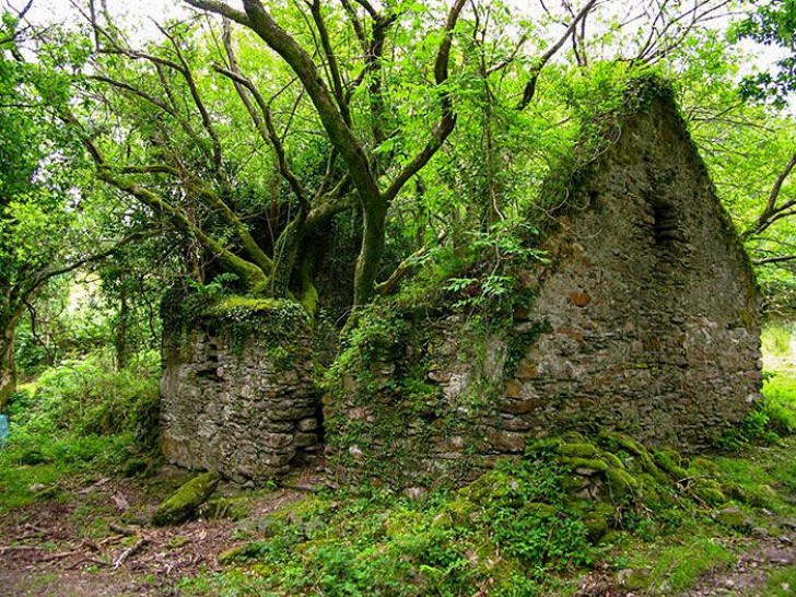 7. Un bâtiment irlandais abandonné et presque méconnaissable
