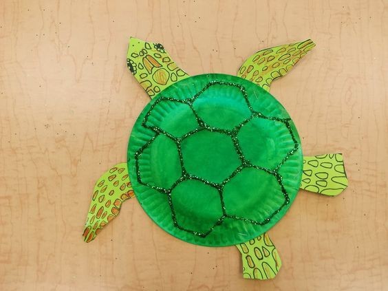 1. Van een papieren bordje een zeeschildpad maken