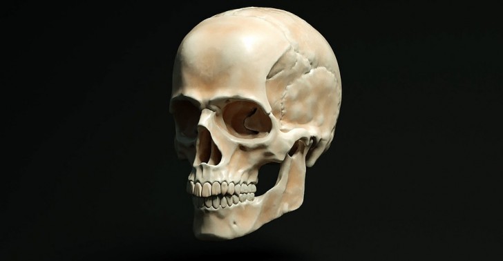 1. Apidima 1 : le crâne d'il y a 210 000 ans qui met en discussion nos connaissances paléoanthropologiques