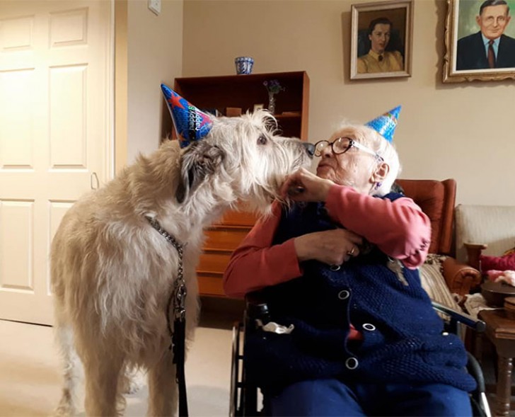 8. Ein Geburtstagskuss zwischen Gilligan und Mariette, 110 Jahre alt....