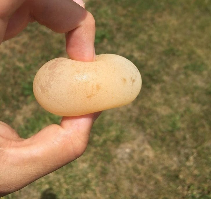 14. Un uovo senza guscio