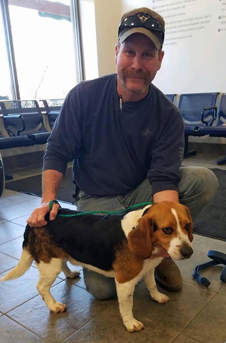 Un homme sauve un beagle de l'euthanasie... et lui le remercie avec toute la douceur dont il est capable - 3