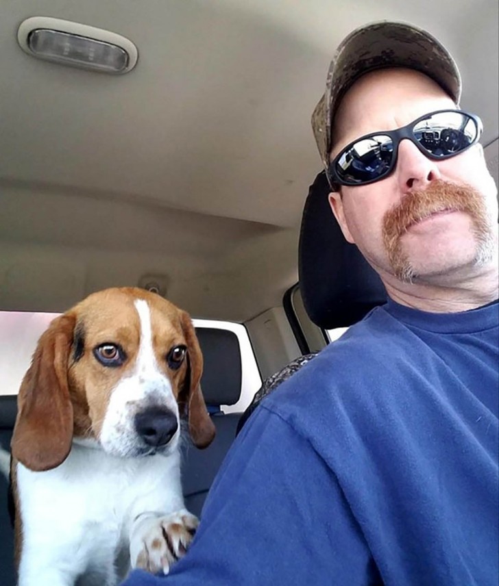 Un uomo salva un beagle dall’eutanasia... e lui lo ringrazia con tutta la dolcezza di cui è capace - 5