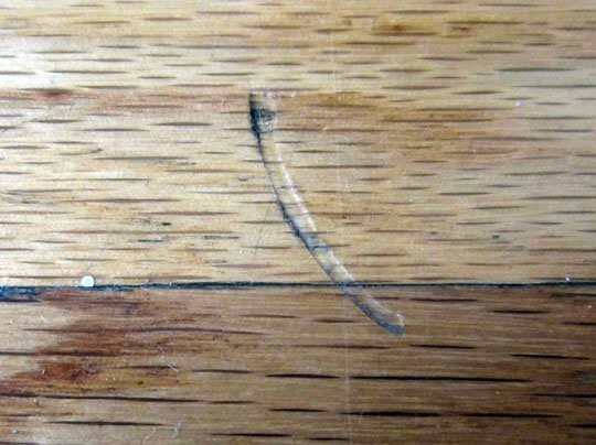 Questo metodo funziona bene sulle ammaccature appena fatte, ma ha effetto anche sui vecchi graffi.