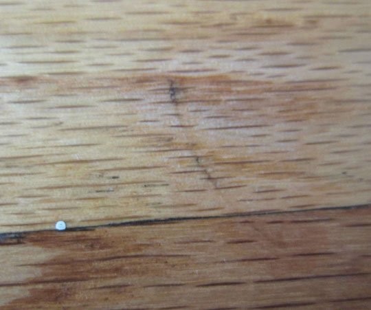 Voilà! Ora, se proprio volete fare un lavoro impeccabile, passate sull'area il normale olio per parquet in modo da "nutrire" e rinvigorire il legno trattato.