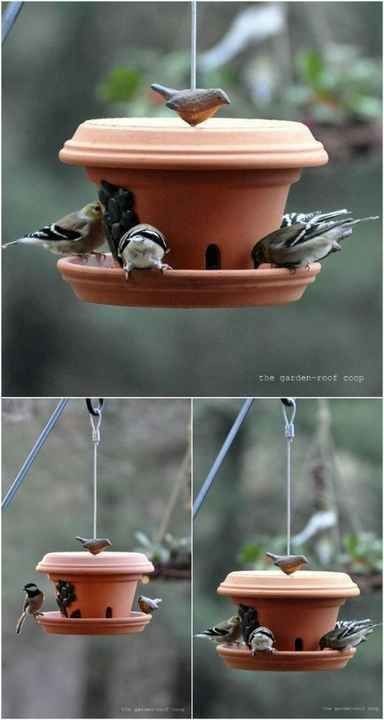 I vasi di coccio possono anche essere riutilizzati per abbeverare gli uccellini durante l'estate