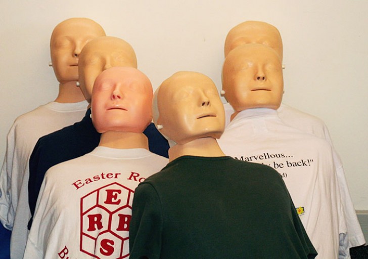 Wikimedia / John Haslam