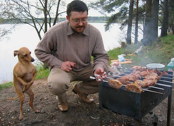 1. Dobby veut à manger, mais Dobby est un chien bien, donc il n'aboie pas.