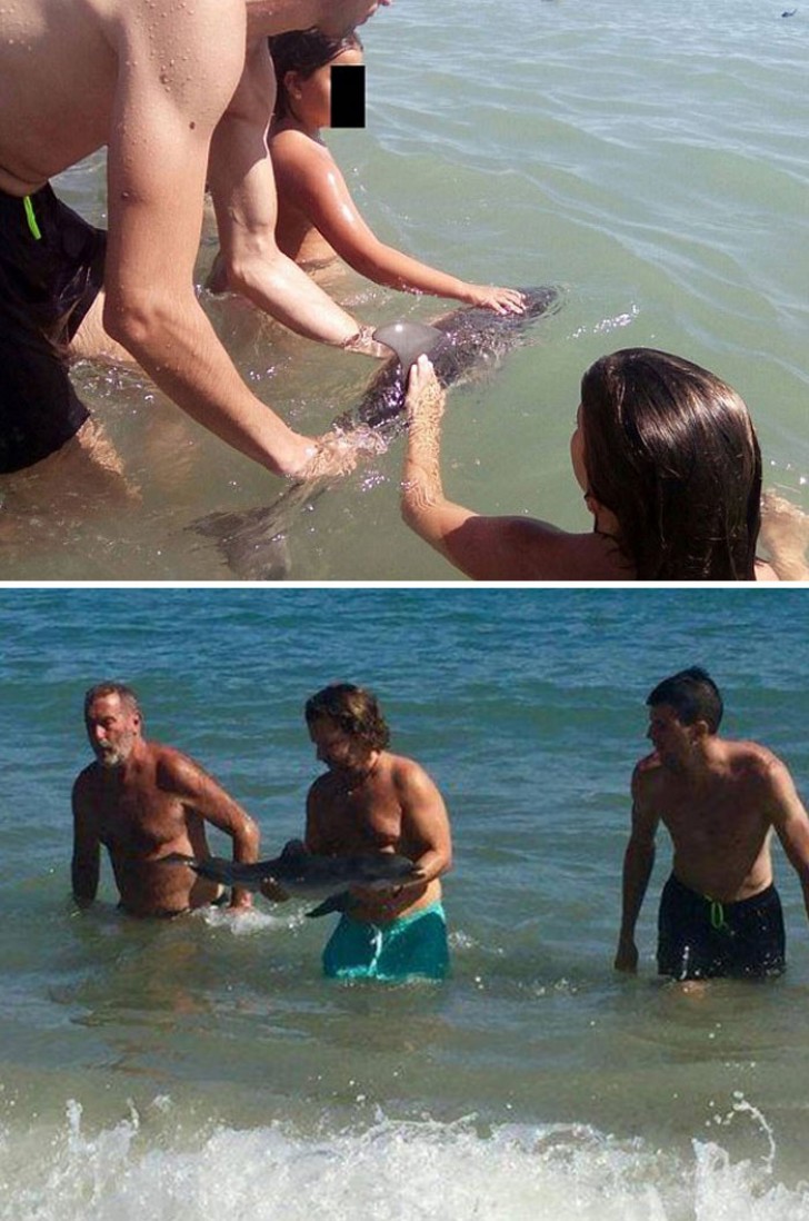 Este pequeño delfín ha muerto luego que ha sido detenido por una manada de turistas en busca de una selfie en aguas españolas