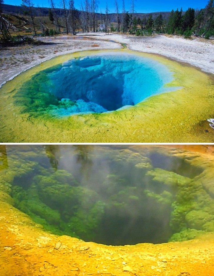 The Yellowstone Park Hot Springs water source "Morning Glory pool" has turned green due to the huge amount of coins that have been thrown into it.