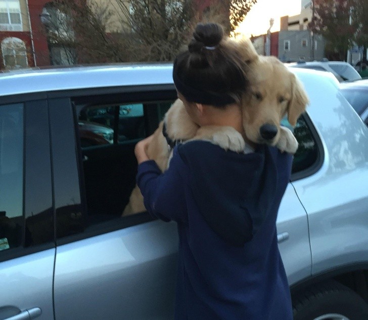 2. Dogs also know how to hug us!