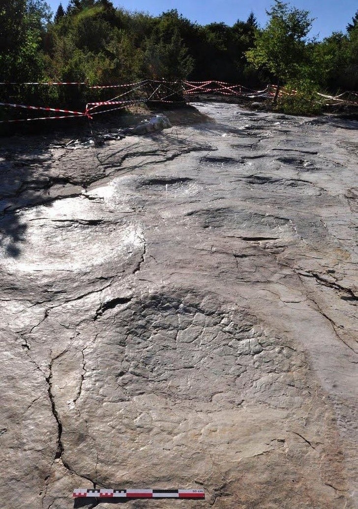 11. Questi avvallamenti in Francia sono fra le più grandi impronte di dinosauro mai scoperte