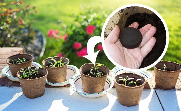 I fondi di caffè sono perfetti per creare un compost domestico