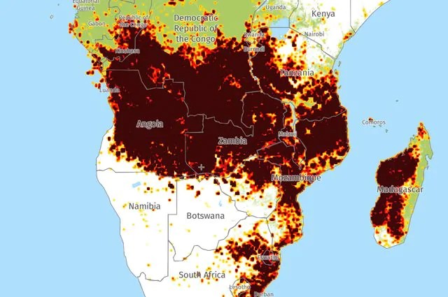 En plus de l'Amérique du Sud, l'Afrique brûle aussi : les incendies en Angola et au Congo sont deux fois plus importants que ceux de l'Amazonie - 1