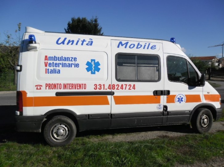 Ambulanze Veterinarie Italia