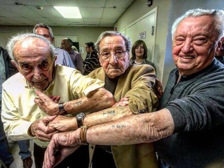 Après 72 ans, des prisonniers ayant survécu aux horreurs d'Auschwitz se retrouvent à nouveau et montrent fièrement le tatouage qui les avait marqués des années auparavant.
