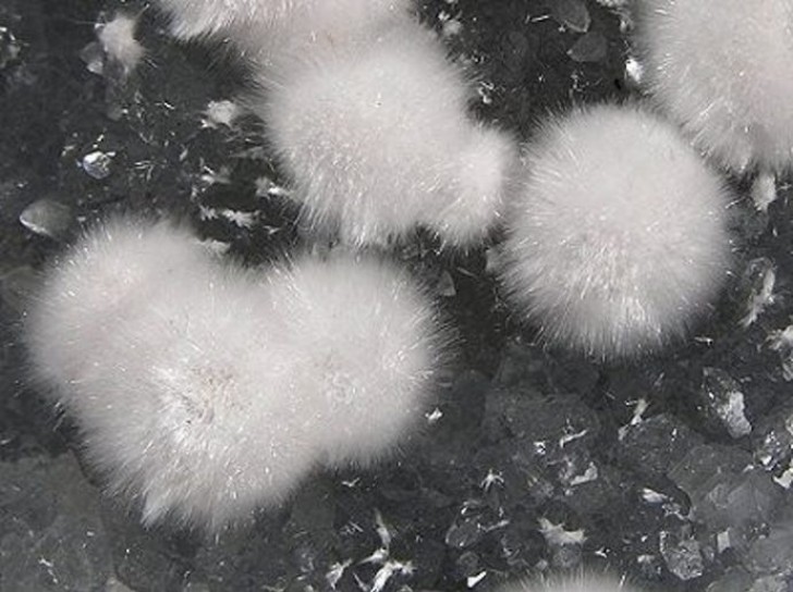 5. On les appelle okénites et ce sont des minéraux... mais ils ressemblent à des éponges de coton !