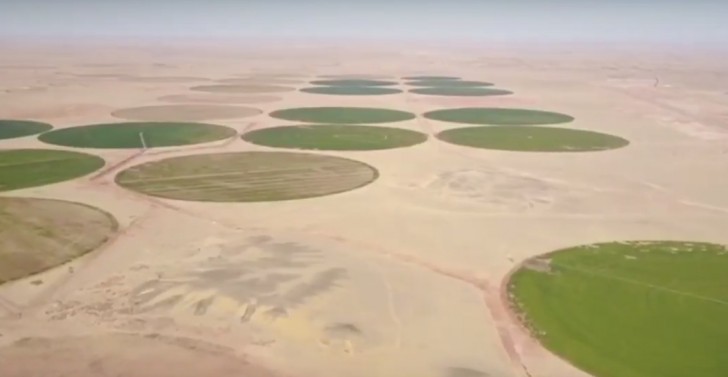Le New Valley Project est un ambitieux système d'irrigation qui pompe l'eau du lac Nasser à partir d'un vaste réseau de canaux qui transforme 2 380 kilomètres carrés de désert en terres agricoles.