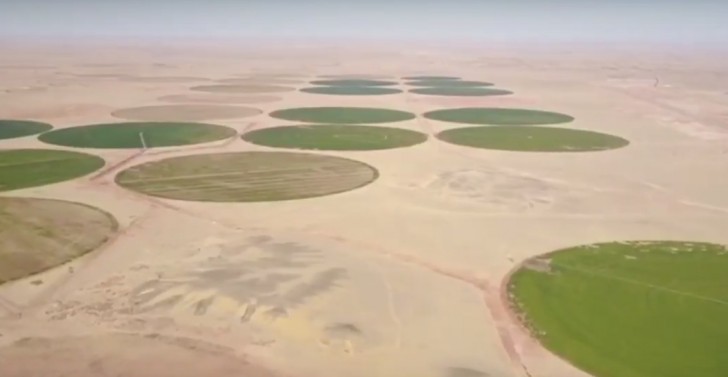 Het New Valley Project is een ambitieus irrigatiesysteem dat water uit Lake Nasser pompt vanuit een groot kanaalsysteem dat 2380 vierkante kilometer woestijn transformeert in landbouwgrond.