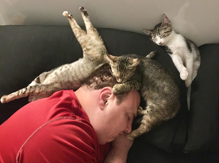 1. My husband and our three kittens sleep like this!