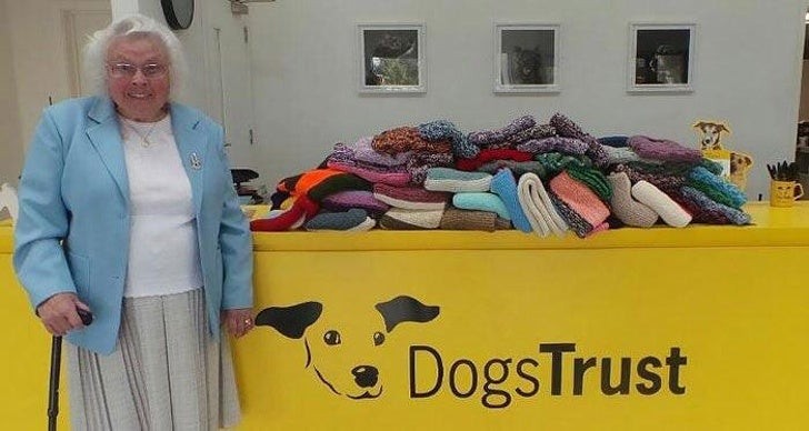 10. Questa donna di 89 anni ha cucito a maglia ben 450 coperte per cani randagi